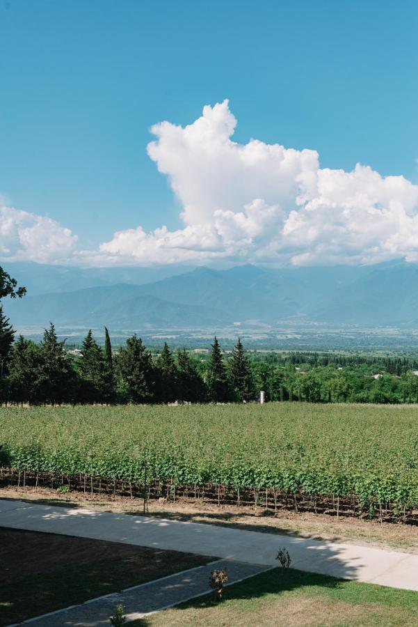 Vazisubani Estate Ξενοδοχείο Εξωτερικό φωτογραφία
